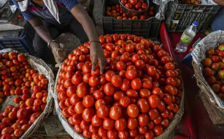 Relief to the people of Delhi-NCR and Mumbai, the government will sell tomatoes at Rs 50 per kg from Friday