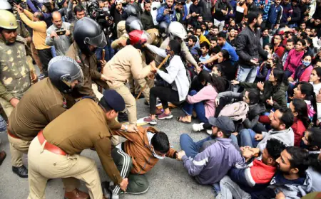 Villagers pelted stones at police in Banswara, 1 constable injured; Protesting against the construction of a nuclear plant