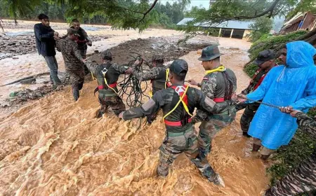 Wayanad Landslide: 215 bodies including 30 innocent children recovered, 206 lives still in limbo, 1419 personnel put in their efforts; Know more