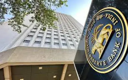 RBI MPC Meet 2024: Tax payment limit increased through UPI, soon the facility of delegated payments will also be available