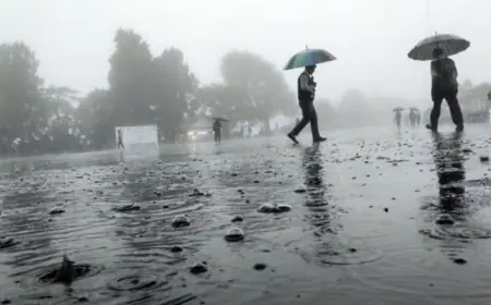 Heavy rain alert in 13 districts of Tamil Nadu, clouds will rain in 10 states including Delhi-UP today