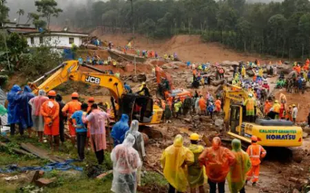 Rescue operation resumed in Wayanad after a day's break, 229 people dead so far