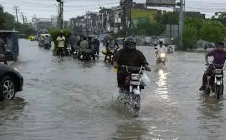 Heavy rains in Rajasthan have become a death knell, 14 people died; Meteorological Department has issued high alert in 3 districts including Jaipur