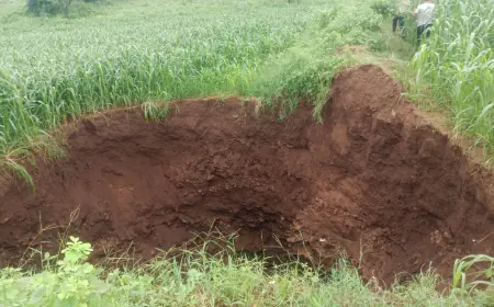 In Rajasthan, the earth suddenly cracked overnight, it became a topic of discussion among the villagers