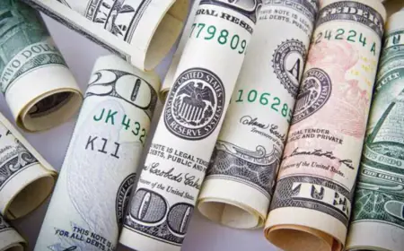 Indians' trust in US Government Securities is increasing, investment reaches new high