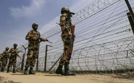 Pakistani man illegally entered India by crossing Rajasthan border, arrested by BSF; interrogation going on