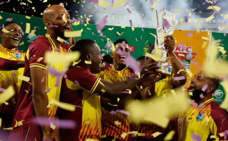 Joseph-Shepherd pair tied South Africa's bundle, West Indies won the second T20 by 30 runs, also captured the series