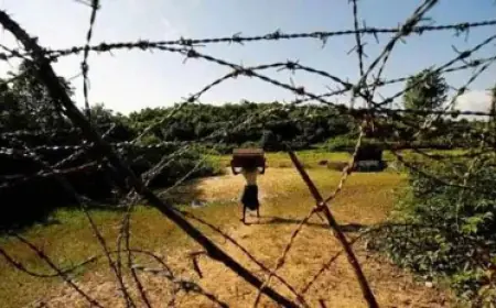 Infiltration attempts are being made continuously on the India Bangladesh Border, five Bangladeshis arrested in Tripura