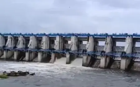 Due to heavy rains in Rajasthan, Bisalpur dam is overflowing, two gates opened; holiday in schools