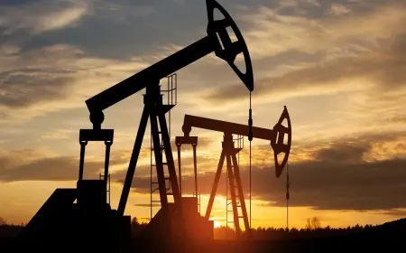 Government made windfall tax on crude oil zero, country's crude oil companies will benefit