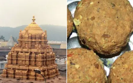 Political uproar over animal fat in Tirupati temple prasad, demand for CBI investigation