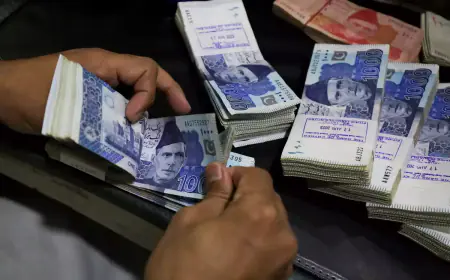 IMF opened its coffers for Pakistan; praised it but also warned it