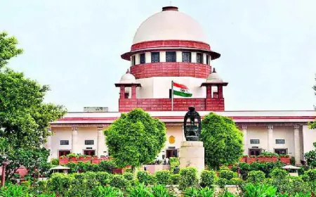 Hearing in Supreme Court today on Tirupati Laddu controversy, petitioner demands CBI investigation