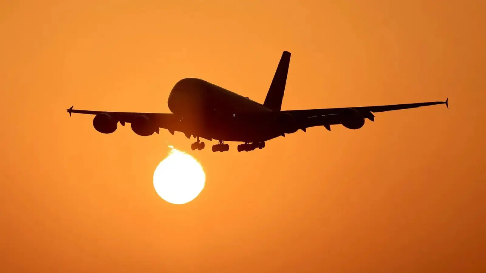 Passenger molested a woman sitting on the adjacent seat in Delhi-Chennai flight; arrested as soon as the plane landed