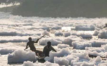 Toxic foam seen in Yamuna River near Kalindi Kunj due to Delhi pollution