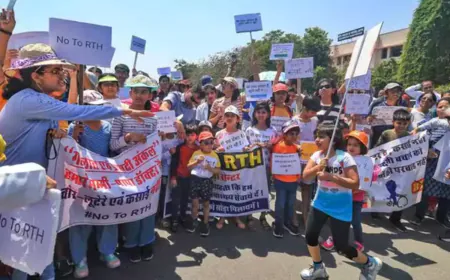 Rajasthan doctors' strike: Situation getting worse more than 700 operations postponed; When will the situation improve