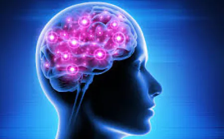 Your brain gets tired with aging; Follow these tips to improve brain health