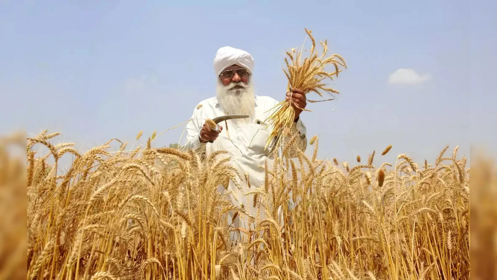 Wheat sowing on track despite delay in paddy harvesting in two major states, Agriculture Secretary said