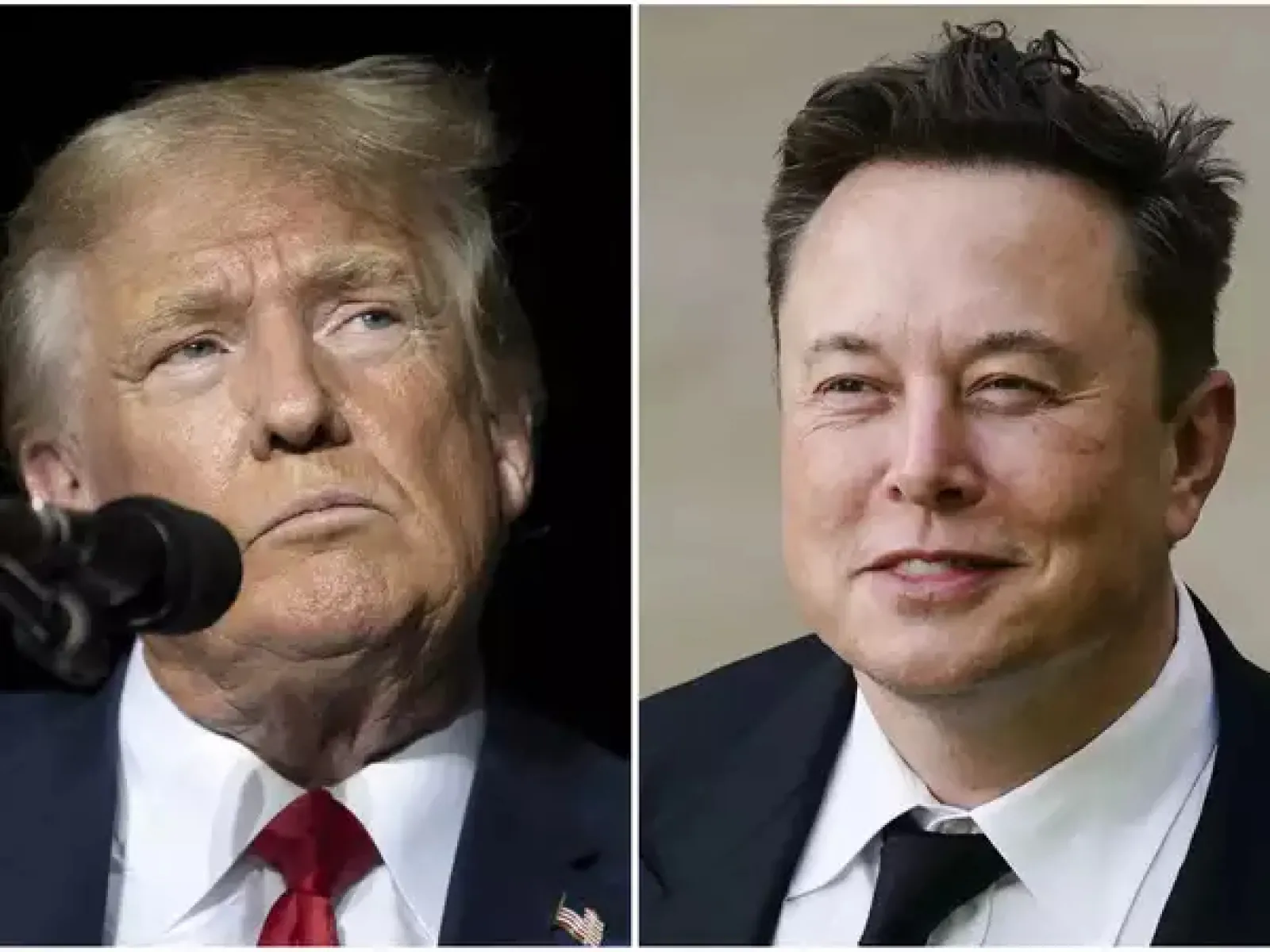 Musk earned 10 times more than Trump wealth in 7 days; Know how much company's market cap increased