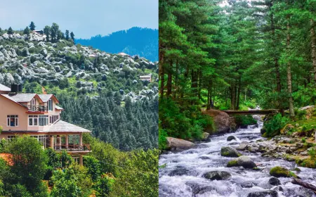 4 hidden tranquil places around Manali for you to spend some peaceful time with nature