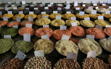 Food subsidies got 4x in 10 years; Expenditure increased on buffer stock for free ration