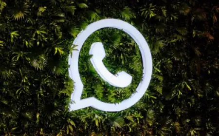 Now you'll be able to identify real and fake photos as soon as you click on WhatsApp