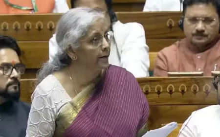 Finance Minister said "public digital infrastructure helped small businesses grow"