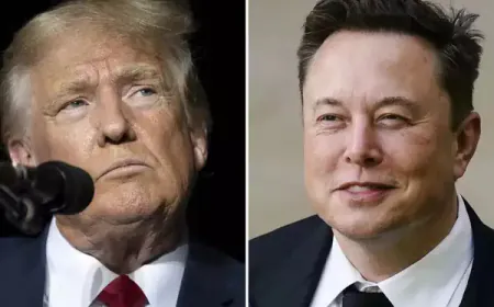 Musk earned 10 times more than Trump wealth in 7 days; Know how much company's market cap increased