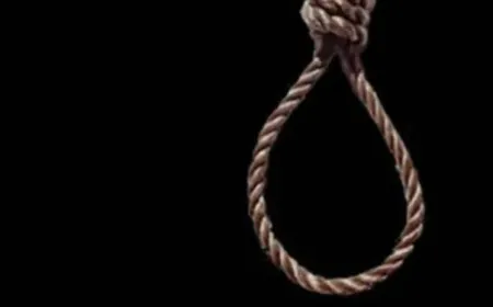 Woman's body found hanging from a tree in Mandrayal Fort, sensation spread in the area
