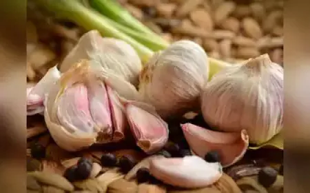 Make some special garlic dishes to avoid cold in winter that's also good for health and taste