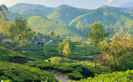 Looking to find peace close to nature far from daily life? Then plan your visit the beautiful villages of India