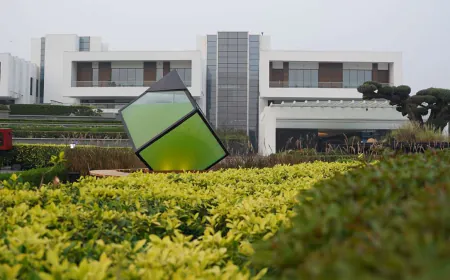 India's first outdoor liquid tree installed in DS Group, important from environmental point of view