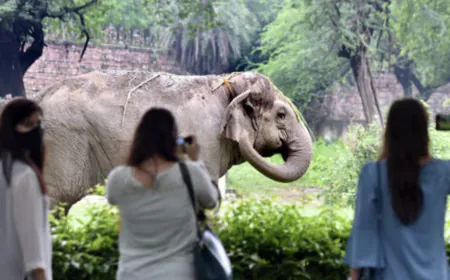 Famous zoos of India are known as Best Tourist Spots that are must visit with children