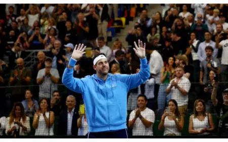 Argentina's Juan Martin del Porto retires, Djokovic bids emotional farewell