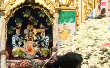 Sanwalia Seth's donation: Rs 21.96 crore counted from box, gold-silver; Money order still to be counted