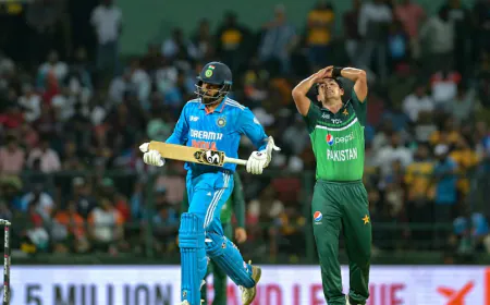 PCB will boycott ICC Champions Trophy 2025, big statement by former Pakistan captain