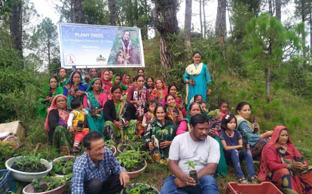 International Mountain Day: Afforestation initiatives repair the Himalayan ecosystem