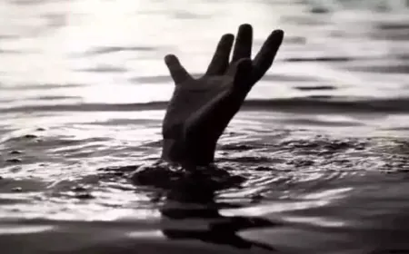 Two friends died due to drowning in a farm pond in Rajasthan; Other died due to saving the one