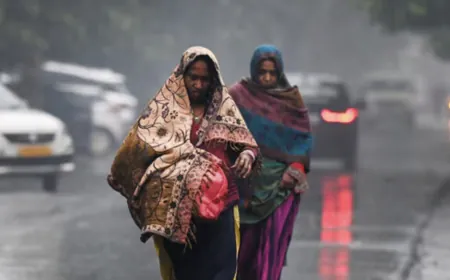 Severe cold wave in Rajasthan today: Dense fog affected traffic; Temperature will fall further from tomorrow