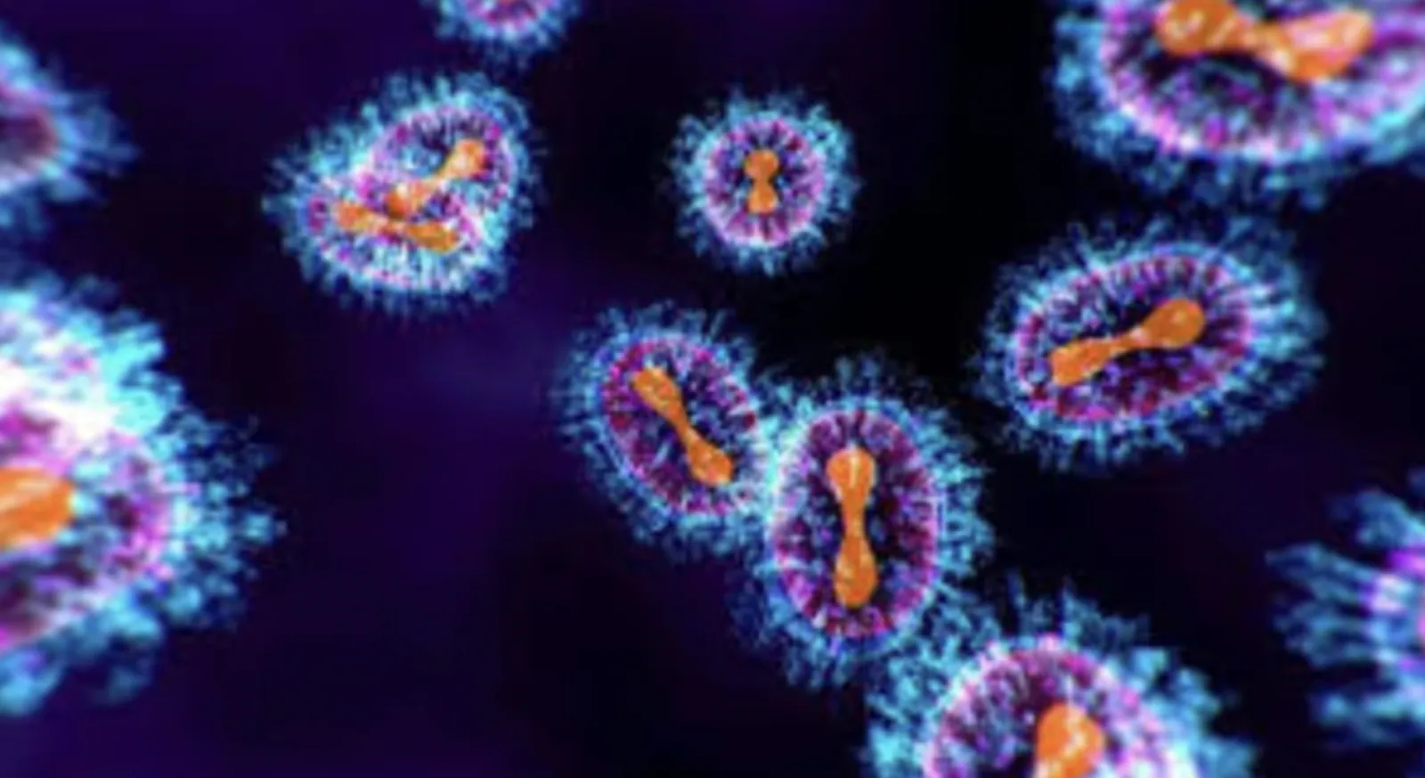Another case of HMPV Virus, also the second case found in Guwahati, Assam; 75-year-old woman infected