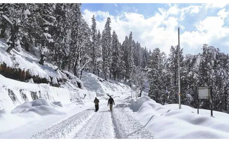 Severe cold in Rajasthan: Snowfall in Kashmir, mercury may drop by 2 to 4 degrees