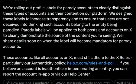 Elon Musk has made new arrangements; Parody account holders are crying holding their heads 