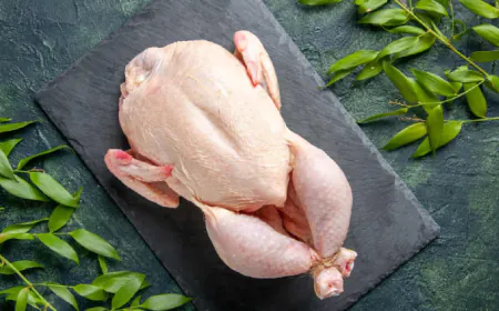 Should we eat chicken during Bird Flu or not? Know what will happen if you eat chicken