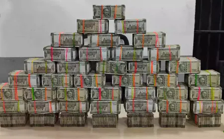 Jaipur News: Enforcing strict laws on old car markets, seizing over 100 automobiles, and earning millions of rupees