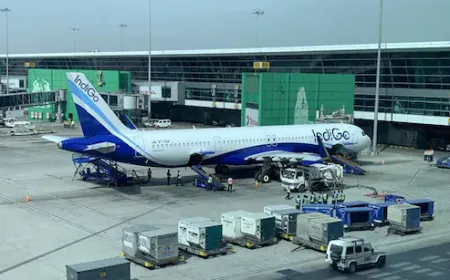 Before plane took off, suddenly the passenger opened the emergency gate; there was a stir among the people