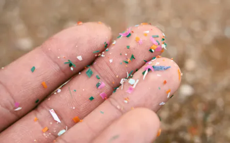 Micro and nanoplastics are growing in the human brain, raising the risk of heart attack, stroke, and death by 4.5 times