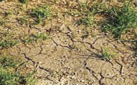 Increased methane emissions of 2 to 35 million metric tonnes annually require stricter globally targets