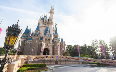 Now no need to go to Paris-Japan, you can enjoy Disneyland Park in India