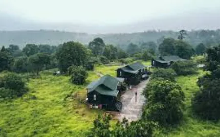 Spend peaceful moments away from the hustle and bustle of the city in Saroda Dadar Village of India