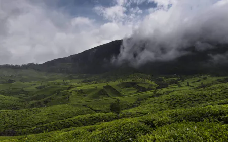 Perfect hill station for adventure lover which is a must-visit